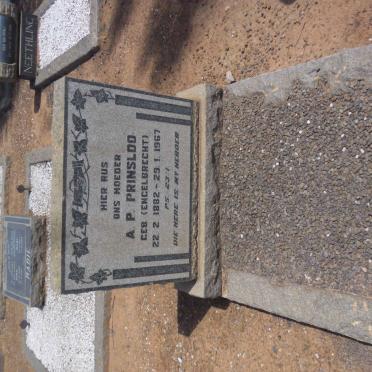 PRINSLOO A.P. nee ENGELBRECHT 1882-1967