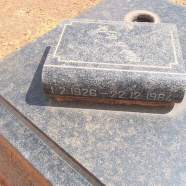 SAAYMAN Ina 1926-1964