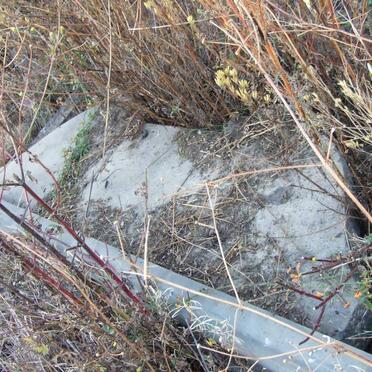 MERWE Jan J.P., v.d. 1880-1966 &amp; Engela B.C. 1889-1968