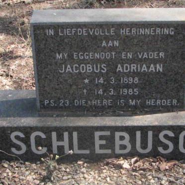 SCHLEBUSCH Jacobus Adriaan 1898-1985