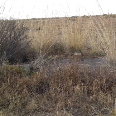 Mpumalanga, KRIEL district, Dorsfontein 71, farm cemetery