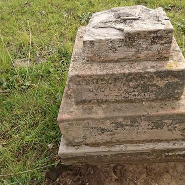 BERG Cornelis J., van der -1920