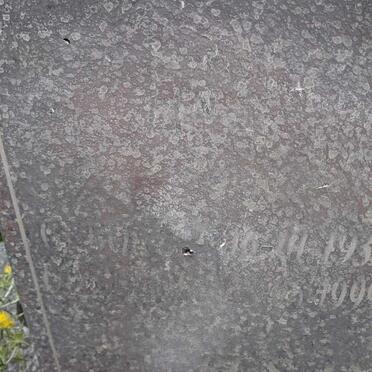 HEYMAN Loe?ie 1928-1999 :: HEYMAN Jan 1932-1999