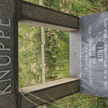 KNUPPE Adri 1971-1972