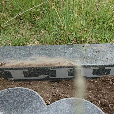 LIU Natacia 2006-2006