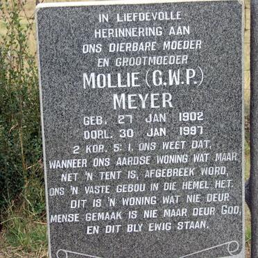 MEYER G.W.P. 1902-1997