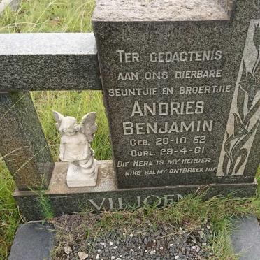 VILJOEN Andries Benjamin 1952-1961