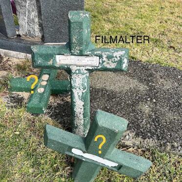 FILMALTER Her??ina Gertruida 1946-2017