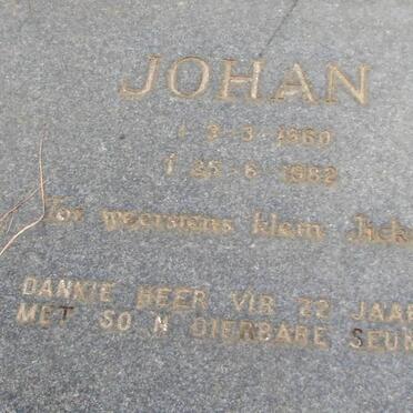 ? Johan 1960-1982