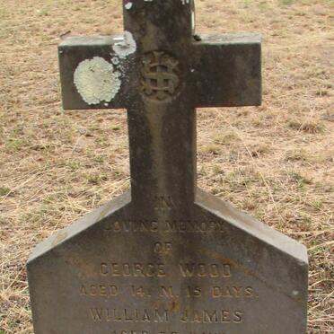 BANCROFT George Wood :: BANCROFT William James 