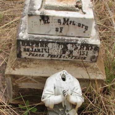 BURNES Daphe Erin 1900-1900