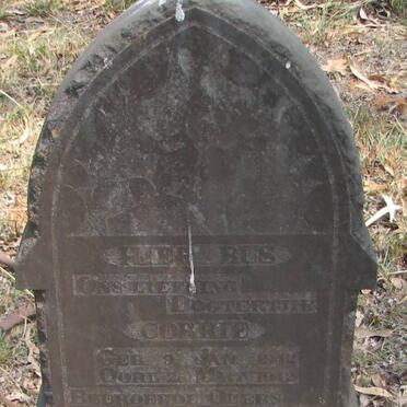 COETSER Corrie 1942-1942