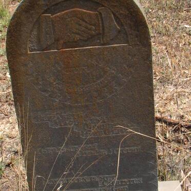 C - Surnames :: Vanne - C