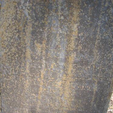 D - Vanne :: Surnames - D