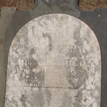 ENSLIN Andries Jacobus 1903-1922