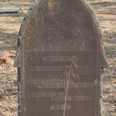 HENRICO Elsie Cathrina nee DE LANGE 1867-1941