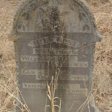 HILLICKS Willem T.J. 1895-1904