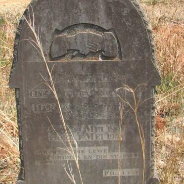 JANSEN Hermanus Petrus Andries J. 1883-1948