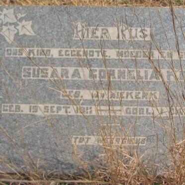 KOK Susara Cornelia nee VAN NIEKERK 1911-1943