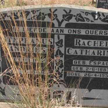 NEL Stephanus Andries -1882-1968 &amp; Rachel Catharina ESPAG 1883-1958