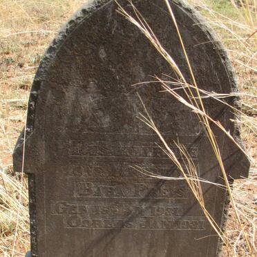 PREYS Baba 1931-1931