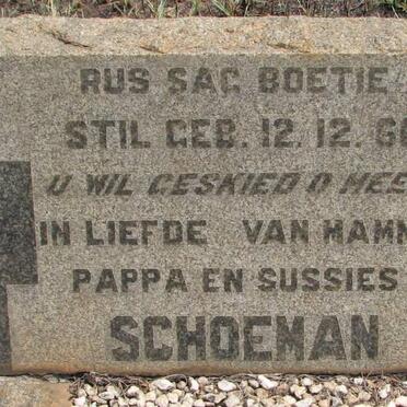 SCHOEMAN Baba 1960-1960