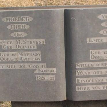 STEVENS James F. 1856-1952 &amp; Hester M. OLIVIER 1860-1948