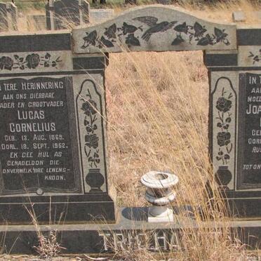 TRICHARDT Lucas Cornelius 1869-1952 &amp; Joachimina C.E. ERASMUS 1871-