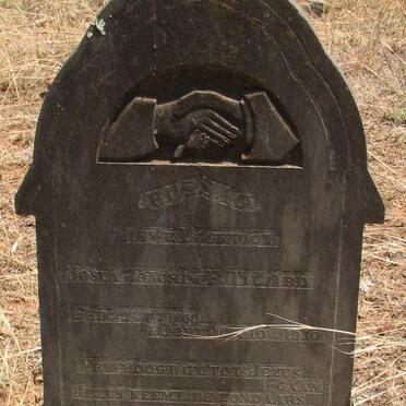 TALJARD Josua Joachim 1869-1930