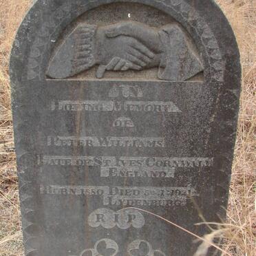 WILLIAMS Peter 1880-1921