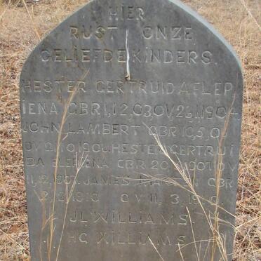 WILLIAMS Hester Gertruida Flepiena 1903-1904 :: WILLIAMS John Lambert 1906-1906 