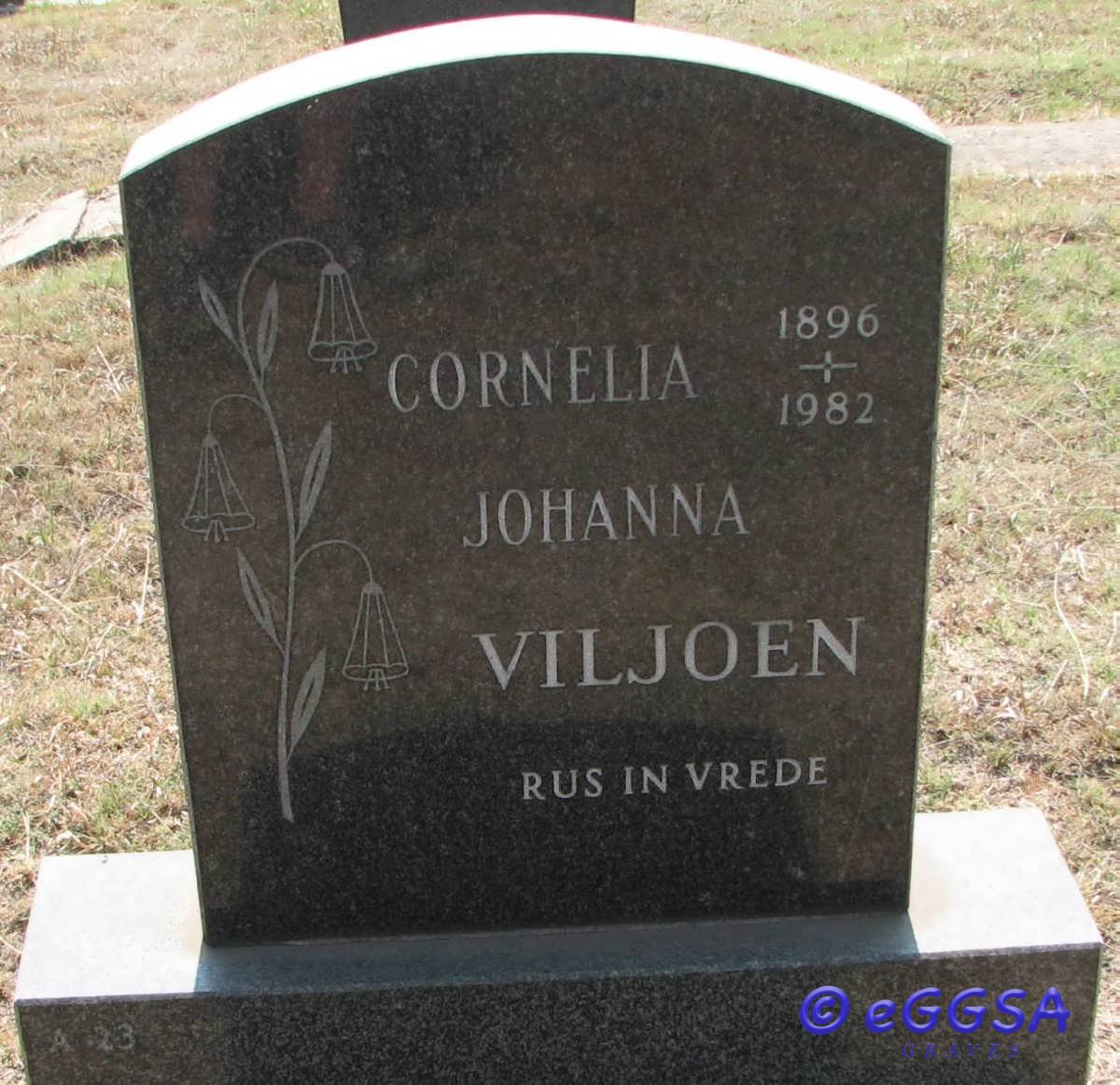 VILJOEN Cornelia Johanna 1896-1982