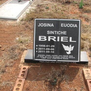 BRIEL Josina Euodia Sintiche 1956-2011