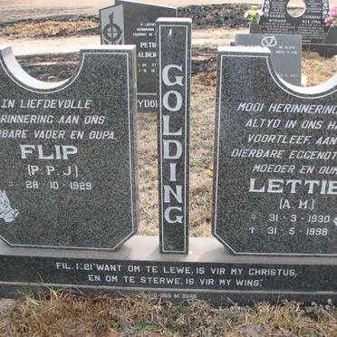 GOLDING P.P.J. 1929- &amp; A.M. 1930-1998