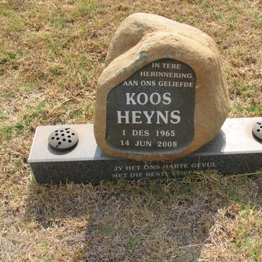 HEYNS Koos 1965-2008