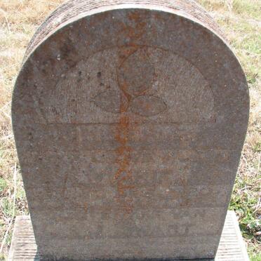 S - Surnames :: Vanne - S