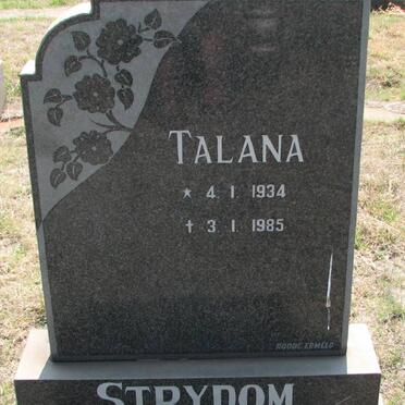 STRYDOM Talana 1934-1985