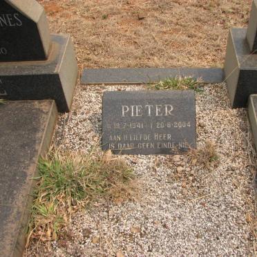 COETZEE Pieter 1941-2004