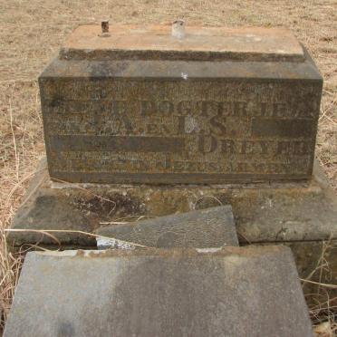 DREYER Dogtertjie