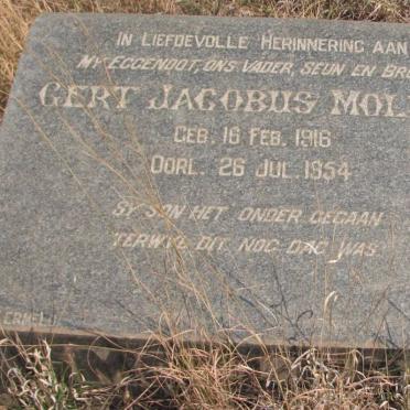 MOLLER Gert Jacobus 1916-1954