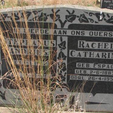 NEL Stephanus Andries -1882-1968 &amp; Rachel Catharina ESPAG 1883-1958