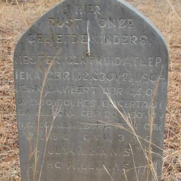 WILLIAMS Hester Gertruida Flepiena 1903-1904 :: WILLIAMS John Lambert 1906-1906 