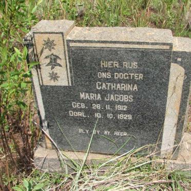 Mpumalanga, LYDENBURG district, Rietfontein 375 KT_1, farm cemetery