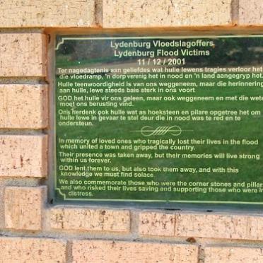 2. Plaque