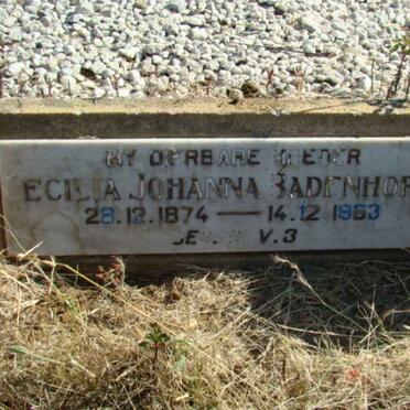 BADENHORST Cecilia Johanna 1874-1963