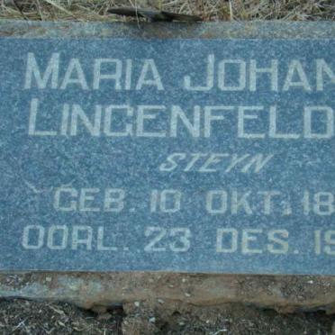 LINGENFELDER Maria Johanna nee STEYN 1871-1958