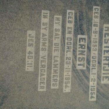 ? Hestertjie 1953-1954 :: ? Ernst 1954-1954