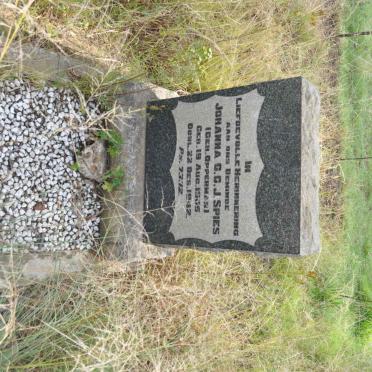 Mpumalanga, MIDDELBURG district, Pullens Hope, Boschmanskop 154, Bosmanskop_1, farm cemetery