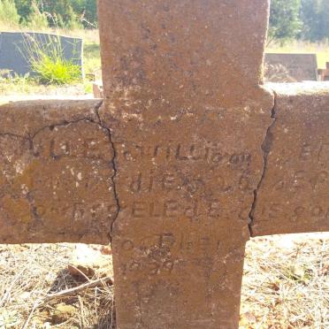 ? William 191?-1939
