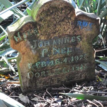 NEL Johannes P. 1925-1925